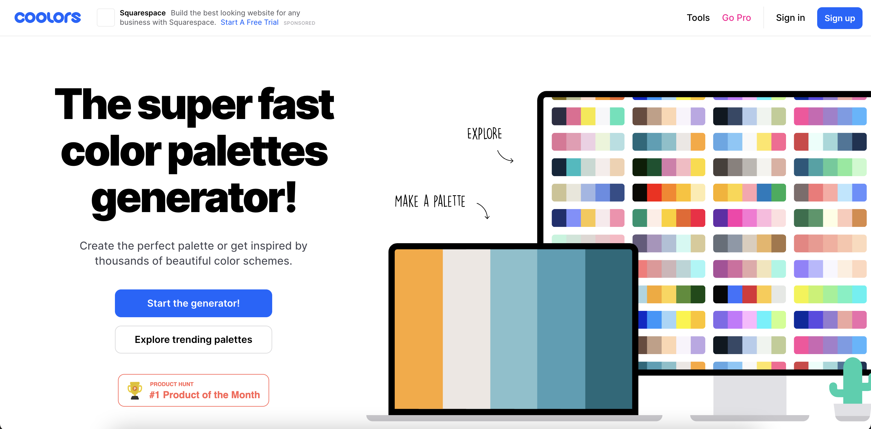 coolors.png